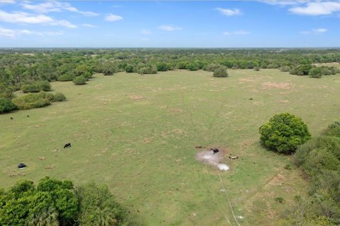 Land in Okeechobee, Florida № 1283008 - photo 2