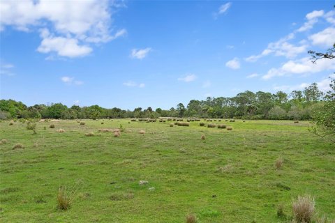 Land in Okeechobee, Florida № 1283008 - photo 9