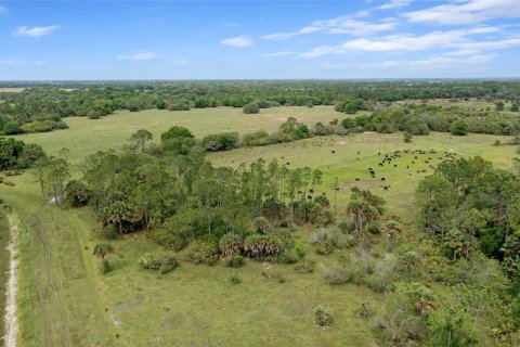 Land in Okeechobee, Florida № 1283008 - photo 7