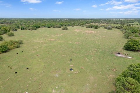 Land in Okeechobee, Florida № 1283008 - photo 3