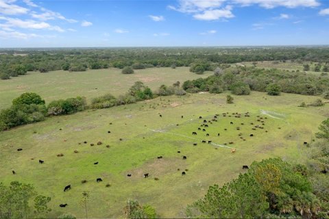 Land in Okeechobee, Florida № 1283008 - photo 4