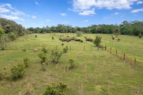 Land in Okeechobee, Florida № 1283008 - photo 6