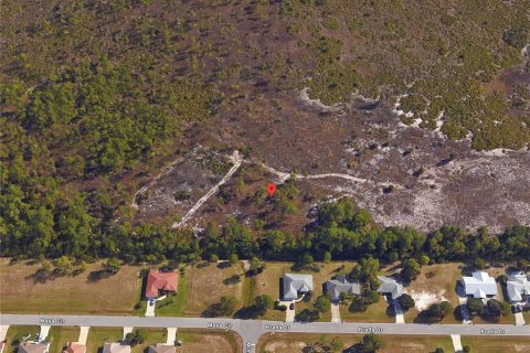 Land in Punta Gorda, Florida № 1287034 - photo 2