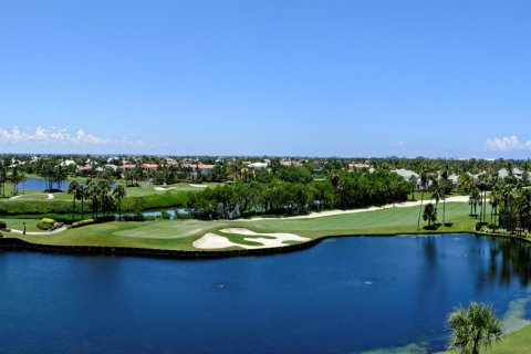 Villa ou maison à vendre à Stuart, Floride: 6 chambres, 793.57 m2 № 927997 - photo 12