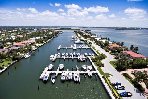 Villa ou maison à vendre à Stuart, Floride: 6 chambres, 793.57 m2 № 927997 - photo 7