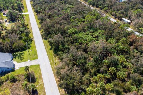 Terreno en venta en Port Charlotte, Florida № 1406712 - foto 10