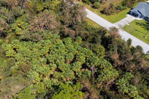 Terreno en venta en Port Charlotte, Florida № 1406712 - foto 7