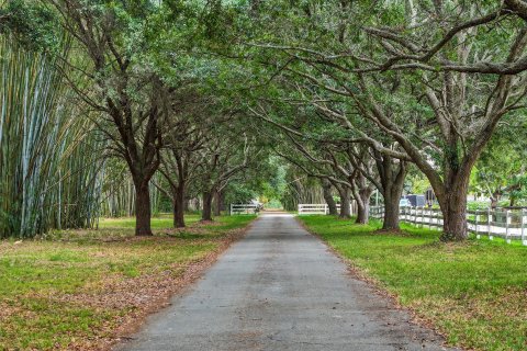 Villa ou maison à vendre à Southwest Ranches, Floride: 4 chambres, 285.77 m2 № 1182598 - photo 9