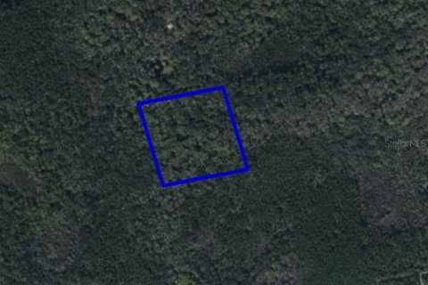 Land in Mims, Florida № 1367855 - photo 2