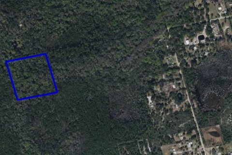 Land in Mims, Florida № 1367855 - photo 1