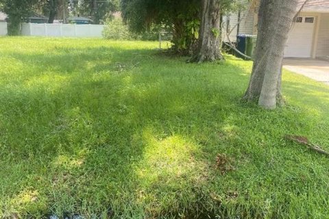 Terreno en venta en Tampa, Florida № 1368459 - foto 2