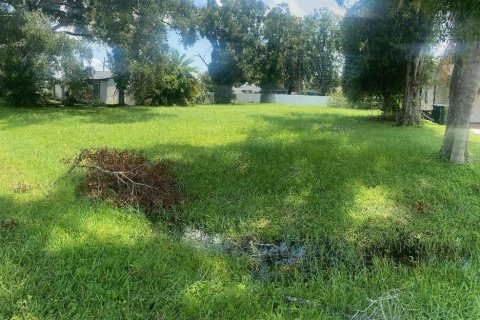 Terreno en venta en Tampa, Florida № 1368459 - foto 5