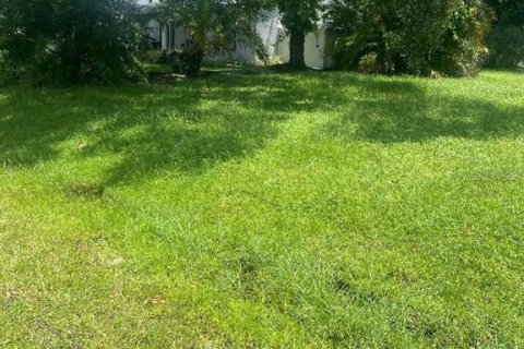 Terreno en venta en Tampa, Florida № 1368459 - foto 3