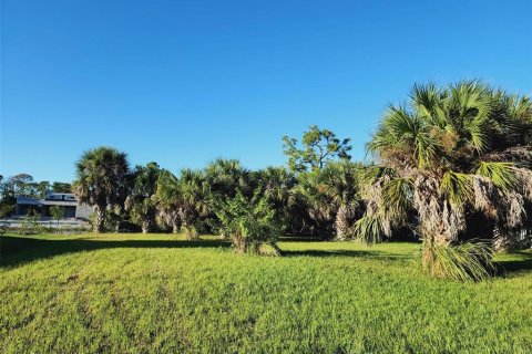 Terrain à vendre à Port Charlotte, Floride № 847644 - photo 6