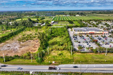 Купить земельный участок в Делрей-Бич, Флорида № 54902 - фото 7