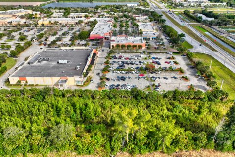 Купить земельный участок в Делрей-Бич, Флорида № 54902 - фото 3