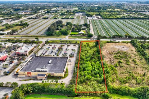 Купить земельный участок в Делрей-Бич, Флорида № 54902 - фото 8