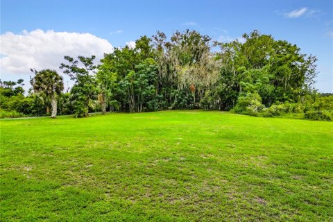 Купить земельный участок в Лисбург, Флорида № 589638 - фото 18
