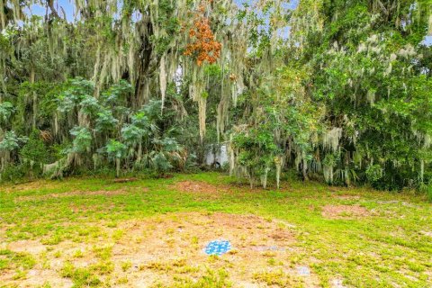 Terrain à vendre à Leesburg, Floride № 589638 - photo 27