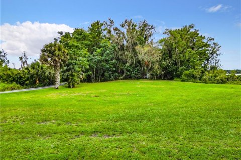Terrain à vendre à Leesburg, Floride № 589638 - photo 17