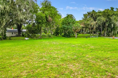 Terrain à vendre à Leesburg, Floride № 589638 - photo 20