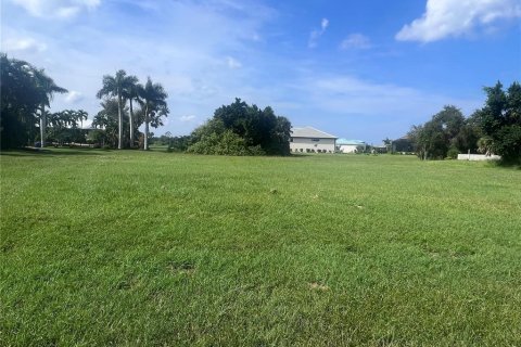 Land in Punta Gorda, Florida № 789529 - photo 2