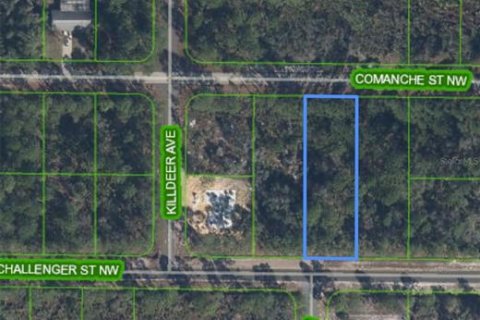 Terreno en venta en Lake Placid, Florida № 1371654 - foto 1