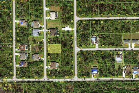 Land in Port Charlotte, Florida № 1226142 - photo 2