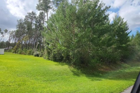 Land in Ocala, Florida № 1399356 - photo 2