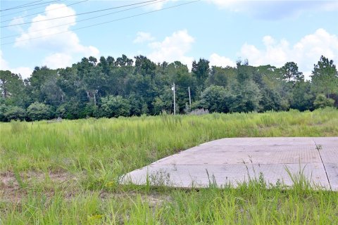 Terrain à vendre à Ocala, Floride № 1334531 - photo 6