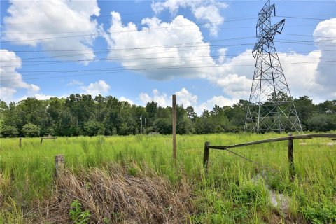 Land in Ocala, Florida № 1334531 - photo 7