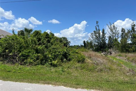 Terreno en venta en Port Charlotte, Florida № 1244887 - foto 6