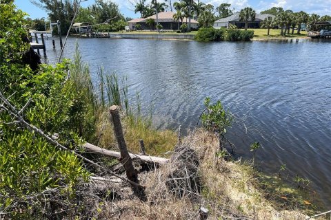 Land in Port Charlotte, Florida № 1244887 - photo 10