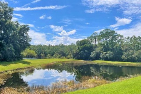 Villa ou maison à louer à Tampa, Floride: 4 chambres, 355.72 m2 № 1357960 - photo 15