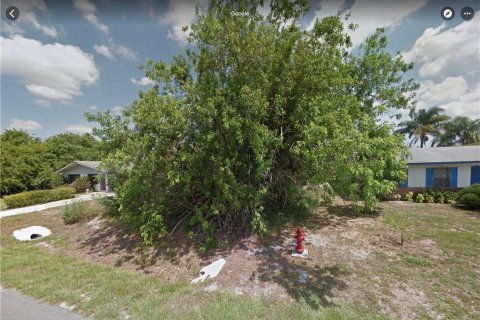 Terreno en venta en Fort Pierce, Florida № 55212 - foto 1