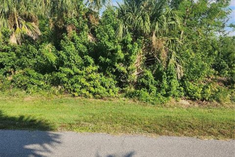 Terreno en venta en Port Charlotte, Florida № 817673 - foto 2