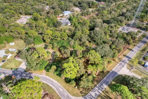 Terreno en venta en Port Charlotte, Florida № 979311 - foto 2