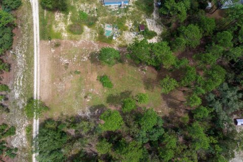 Terrain à vendre à Dunnellon, Floride № 1368309 - photo 4