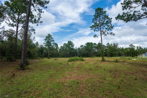 Terreno en venta en Dunnellon, Florida № 1368309 - foto 28