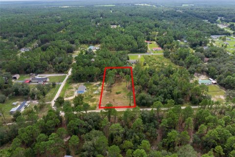 Terreno en venta en Dunnellon, Florida № 1368309 - foto 9