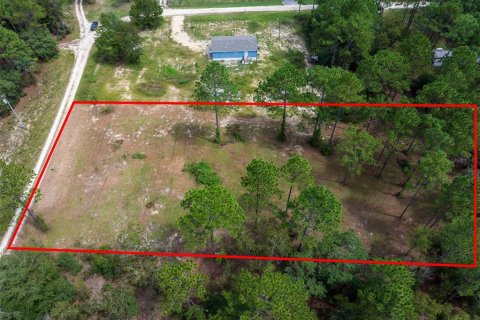 Land in Dunnellon, Florida № 1368309 - photo 1