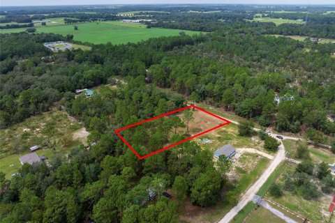 Terreno en venta en Dunnellon, Florida № 1368309 - foto 6