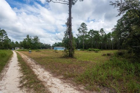 Terrain à vendre à Dunnellon, Floride № 1368309 - photo 24