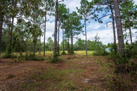 Terreno en venta en Dunnellon, Florida № 1368309 - foto 30