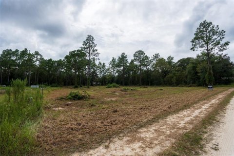 Terreno en venta en Dunnellon, Florida № 1368309 - foto 22