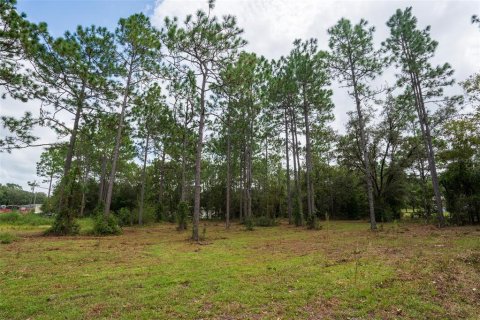 Terreno en venta en Dunnellon, Florida № 1368309 - foto 27