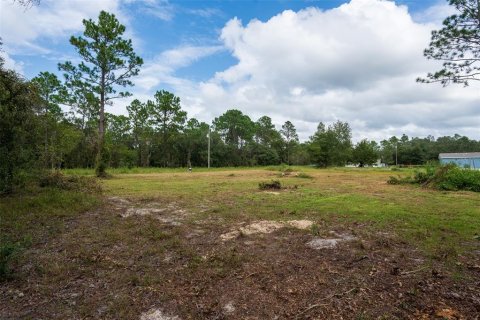 Terreno en venta en Dunnellon, Florida № 1368309 - foto 26