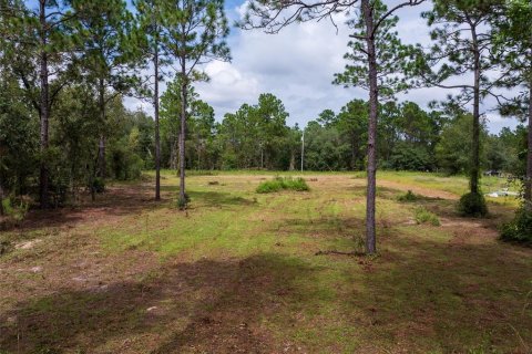 Terrain à vendre à Dunnellon, Floride № 1368309 - photo 20