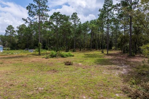 Terrain à vendre à Dunnellon, Floride № 1368309 - photo 21