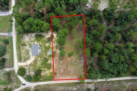 Terreno en venta en Dunnellon, Florida № 1368309 - foto 12